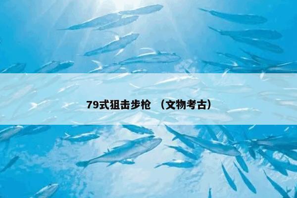 79式狙击步枪是什么？关于79式狙击步枪一起来看看