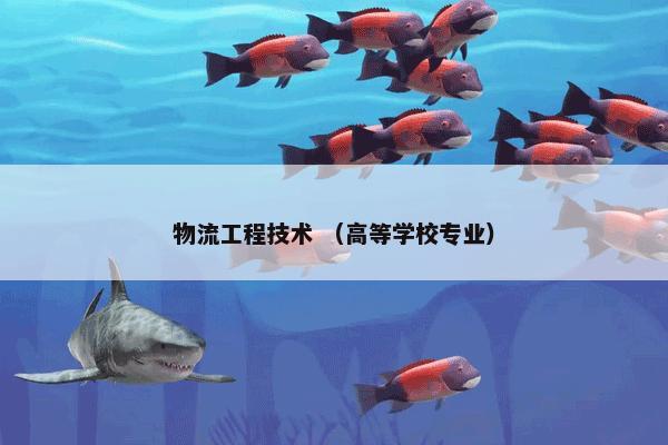 物流工程技术怎么理解？有关物流工程技术解说