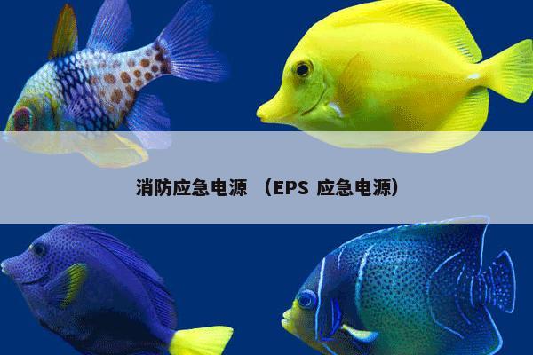 消防应急电源 （EPS 应急电源）