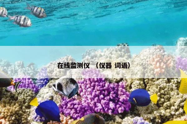 在线监测仪怎么理解？相关在线监测仪一起来了解