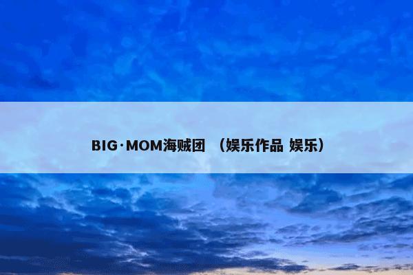 BIG·MOM海贼团 （娱乐作品 娱乐）