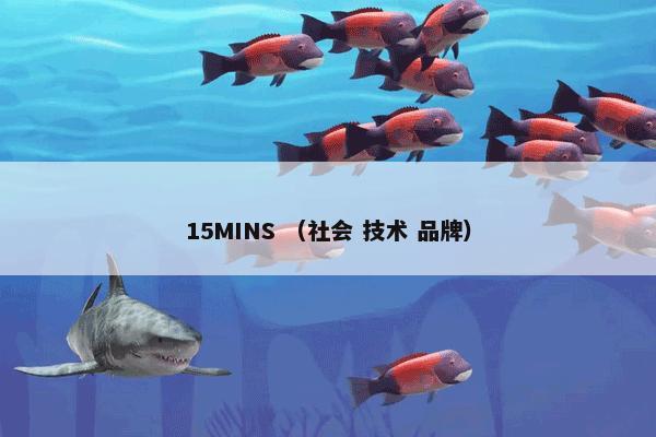 15MINS （社会 技术 品牌）