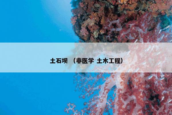 土石坝怎么理解？相关土石坝一起来了解