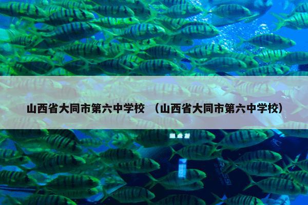 山西省大同市第六中学校是什么意思？有关山西省大同市第六中学校一起来看看