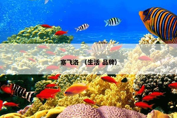 流程图符号 （流程图符号 流程图 产品生产流程图）