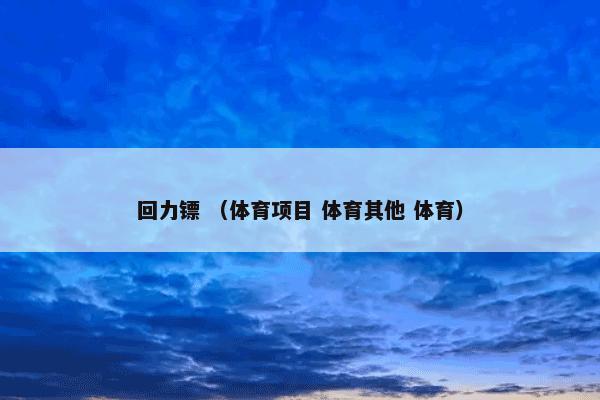 回力镖是什么意思？相关回力镖说明