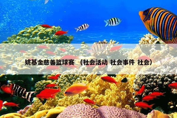 中国水电十三局 （中国 工程 水利 水利部 中华水利 组织机构 公司）