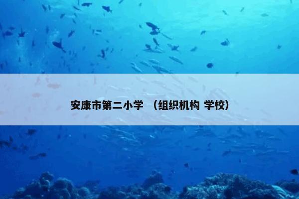 安康市第二小学怎么理解？关于安康市第二小学一起来了解