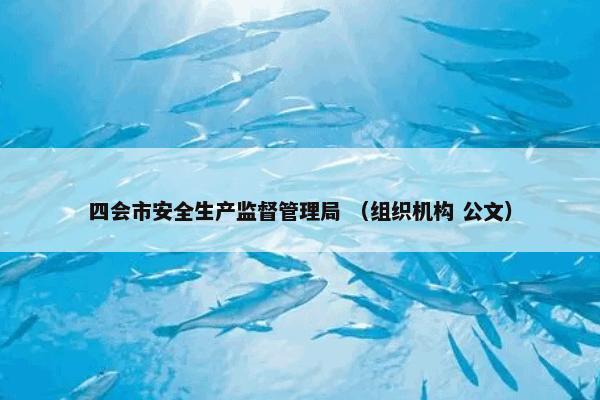 四会市安全生产监督管理局是什么？有关四会市安全生产监督管理局一起来看看