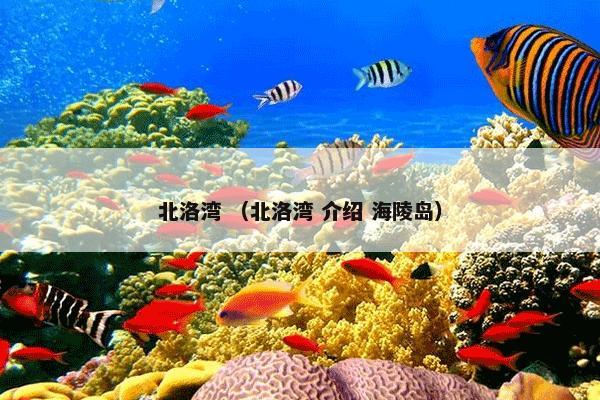 北洛湾是什么？关于北洛湾说明