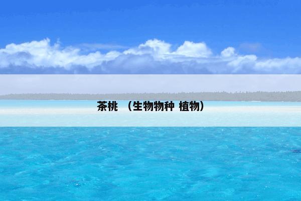 海油论坛是什么？有关海油论坛解说