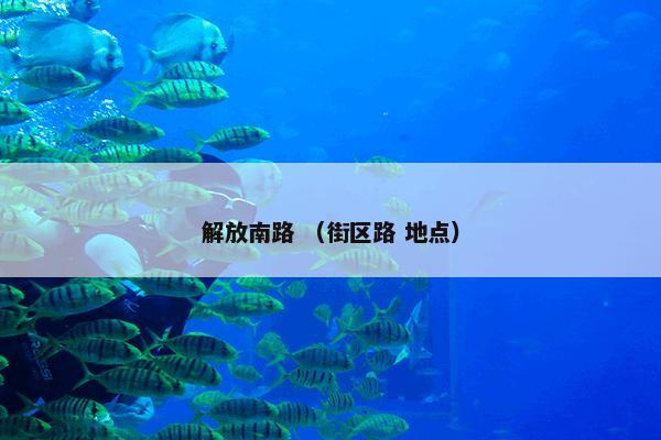 新汶中学是什么？有关新汶中学解说