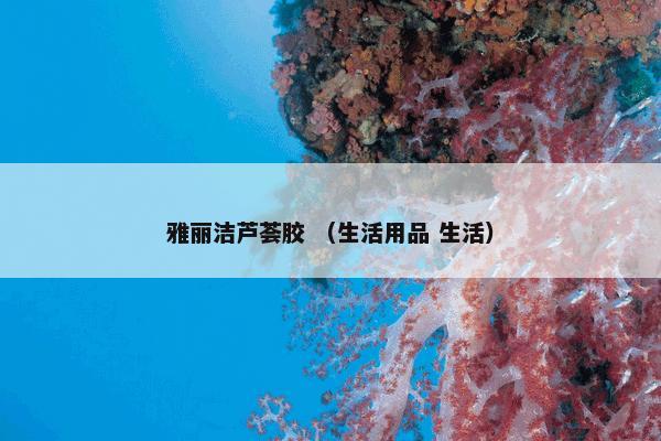 青岛国际博览中心怎么理解？有关青岛国际博览中心一起来了解