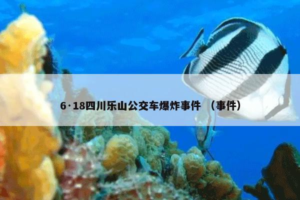 6·18四川乐山公交车爆炸事件怎么理解？有关6·18四川乐山公交车爆炸事件一起来了解