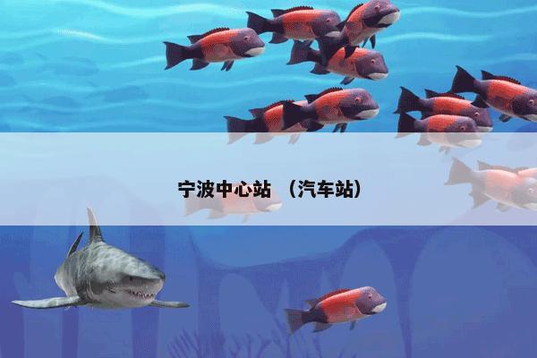 郭玉海是什么意思？有关郭玉海说明