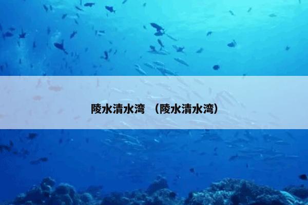 江西鹰潭第四中学怎么理解？有关江西鹰潭第四中学解说