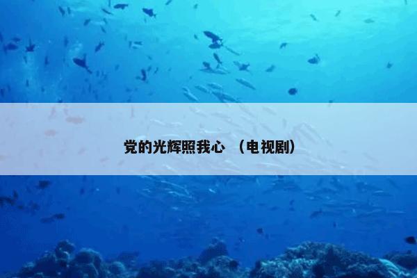 党的光辉照我心怎么理解？党的光辉照我心属于（电视剧）