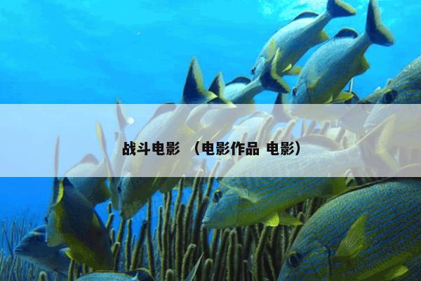 战斗电影怎么理解？战斗电影属于（电影作品和电影）