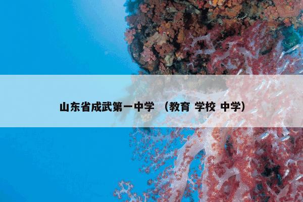 山东省成武第一中学是什么？山东省成武第一中学属于（教育和学校和中学）