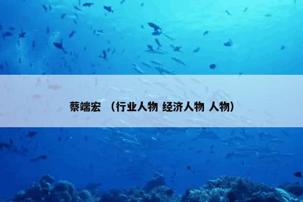 蔡端宏怎么理解？蔡端宏属于（行业人物和经济人物和人物）