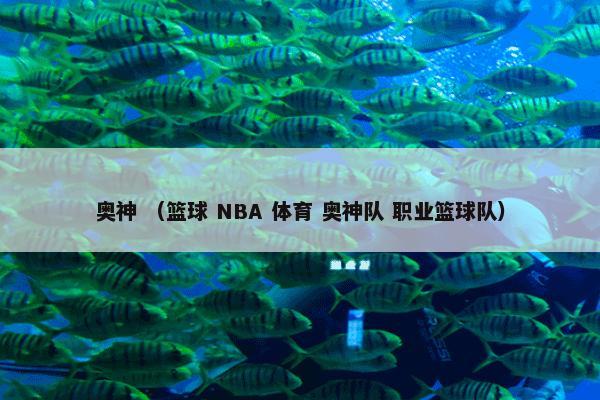 奥神是什么？奥神属于（篮球和NBA和体育和奥神队和职业篮球队）