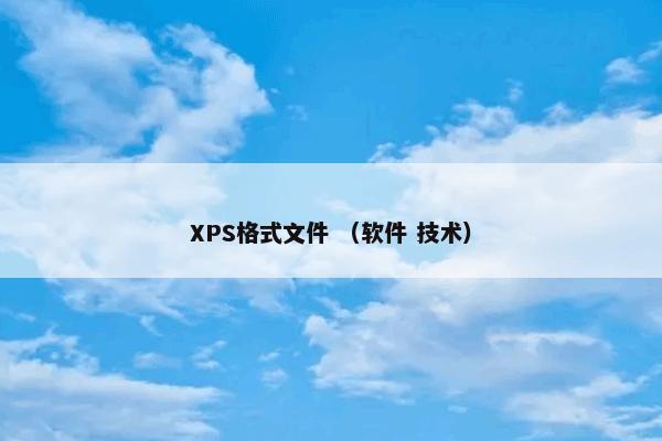 XPS格式文件怎么理解？XPS格式文件属于（软件和技术）