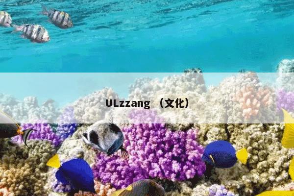 ULzzang是什么？ULzzang属于（文化）