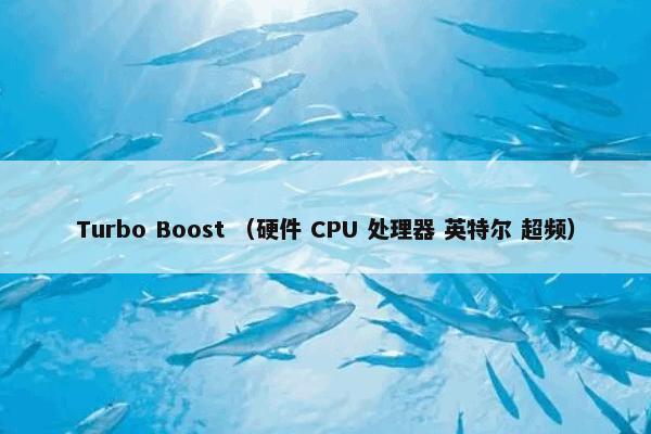 Turbo Boost （硬件 CPU 处理器 英特尔 超频）