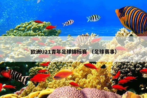 欧洲U21青年足球锦标赛是什么？欧洲U21青年足球锦标赛属于（足球赛事）