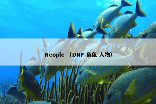 Neople是什么意思？Neople属于（DNF和角色和人物）