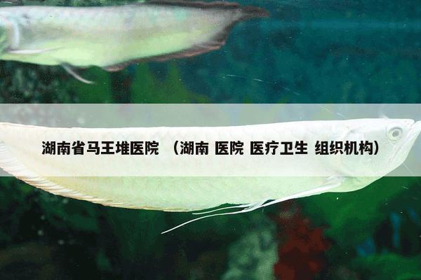 湖南省马王堆医院是什么意思？湖南省马王堆医院属于（湖南和医院和医疗卫生和组织机构）