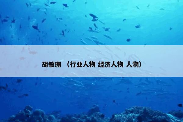 胡敏珊怎么理解？胡敏珊属于（行业人物和经济人物和人物）