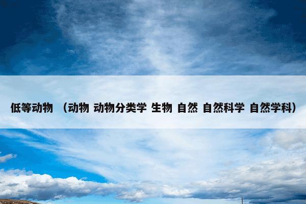 低等动物是什么意思？低等动物属于（动物和动物分类学和生物和自然和自然科学和自然学科）