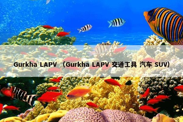 Gurkha LAPV是什么意思？Gurkha LAPV属于（Gurkha和LAPV和交通工具和汽车和SUV）