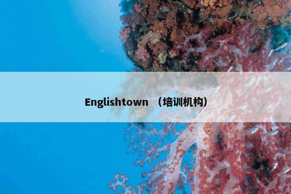 Englishtown是什么意思？Englishtown属于（培训机构）