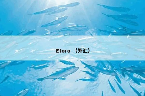 Etoro是什么意思？Etoro属于（外汇）