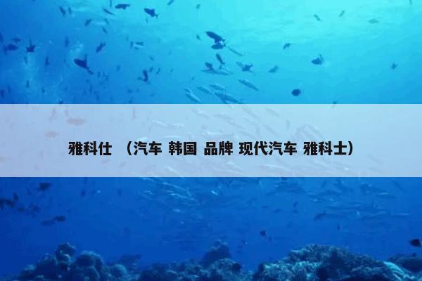 雅科仕怎么理解？雅科仕属于（汽车和韩国和品牌和现代汽车和雅科士）