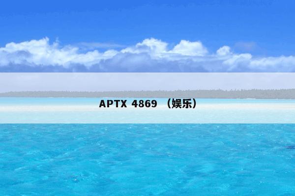 APTX 4869是什么？APTX 4869属于（娱乐）