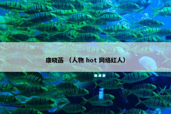 康晓菡 （人物 hot 网络红人）