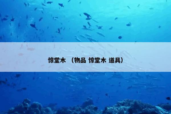 惊堂木是什么？惊堂木属于（物品和惊堂木和道具）