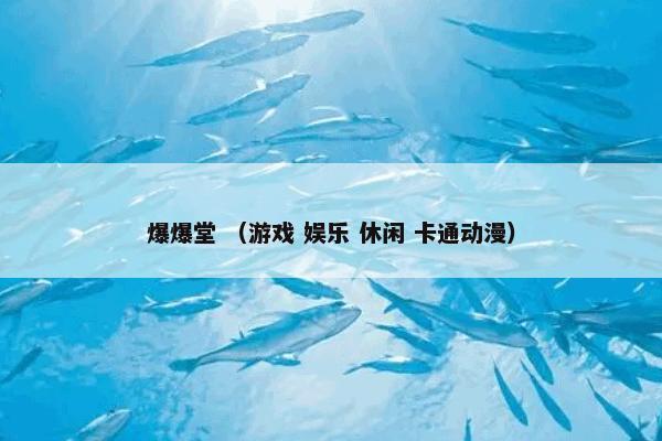 爆爆堂是什么意思？爆爆堂属于（游戏和娱乐和休闲和卡通动漫）