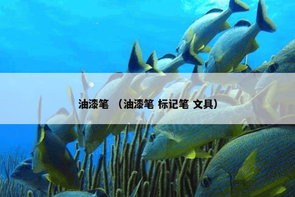 油漆笔 （油漆笔 标记笔 文具）