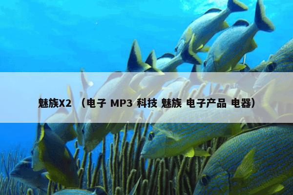 魅族X2怎么理解？魅族X2属于（电子和MP3和科技和魅族和电子产品和电器）