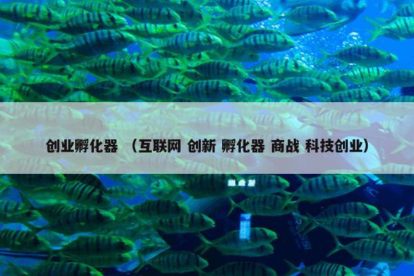 创业孵化器 （互联网 创新 孵化器 商战 科技创业）