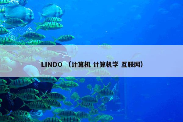 LINDO怎么理解？LINDO属于（计算机和计算机学和互联网）