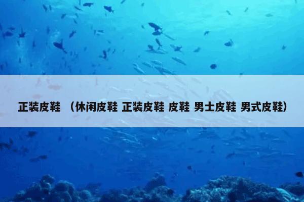 正装皮鞋怎么理解？正装皮鞋属于（休闲皮鞋和正装皮鞋和皮鞋和男士皮鞋和男式皮鞋）