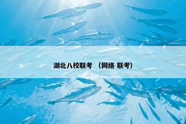 湖北八校联考是什么？湖北八校联考属于（网络和联考）