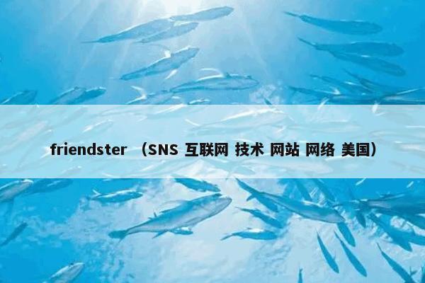 friendster是什么？friendster属于（SNS和互联网和技术和网站和网络和美国）