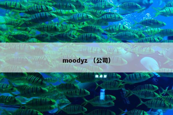 moodyz （公司）