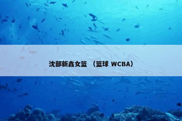 沈部新鑫女篮 （篮球 WCBA）